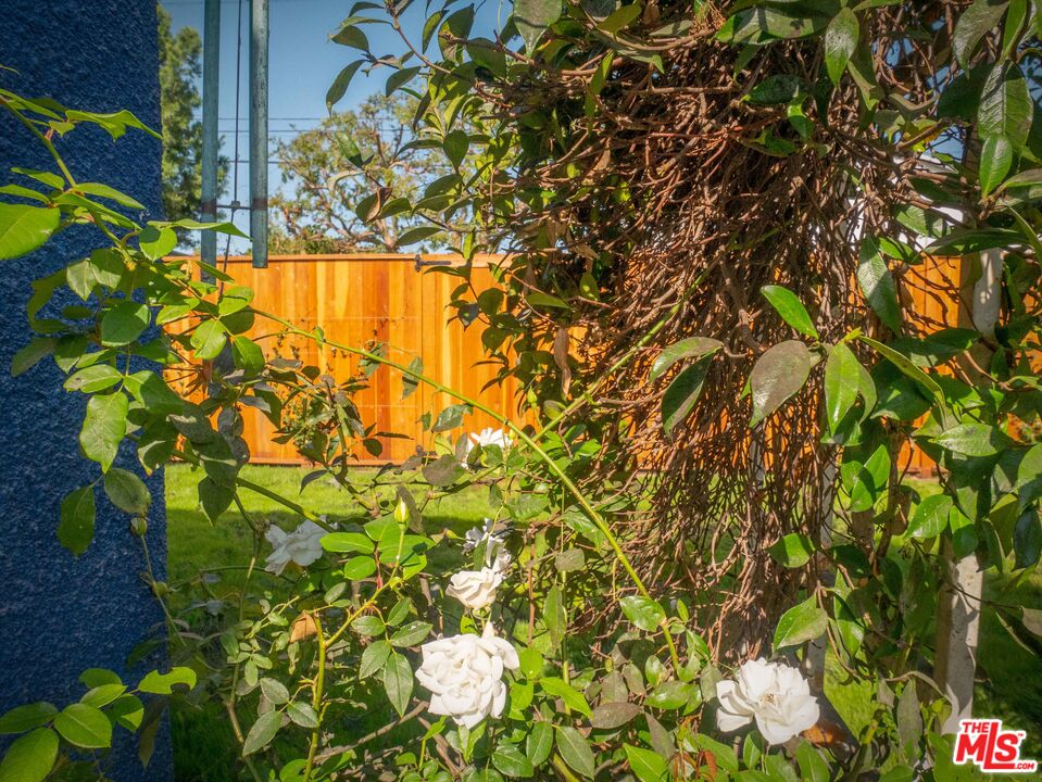 1101 Palms Boulevard Venice, CA 90291 - Photo 35 of 39