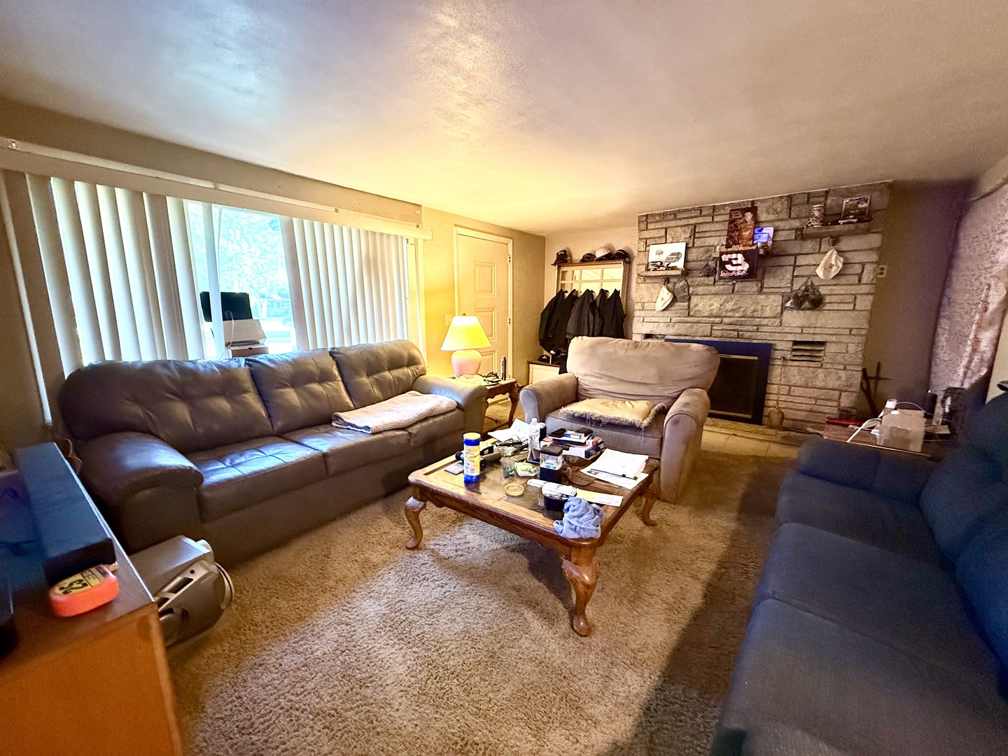 988 Spruce Lane St. Anne, IL 60964 - Photo 4 of 7 a living room with furniture a rug and a large window