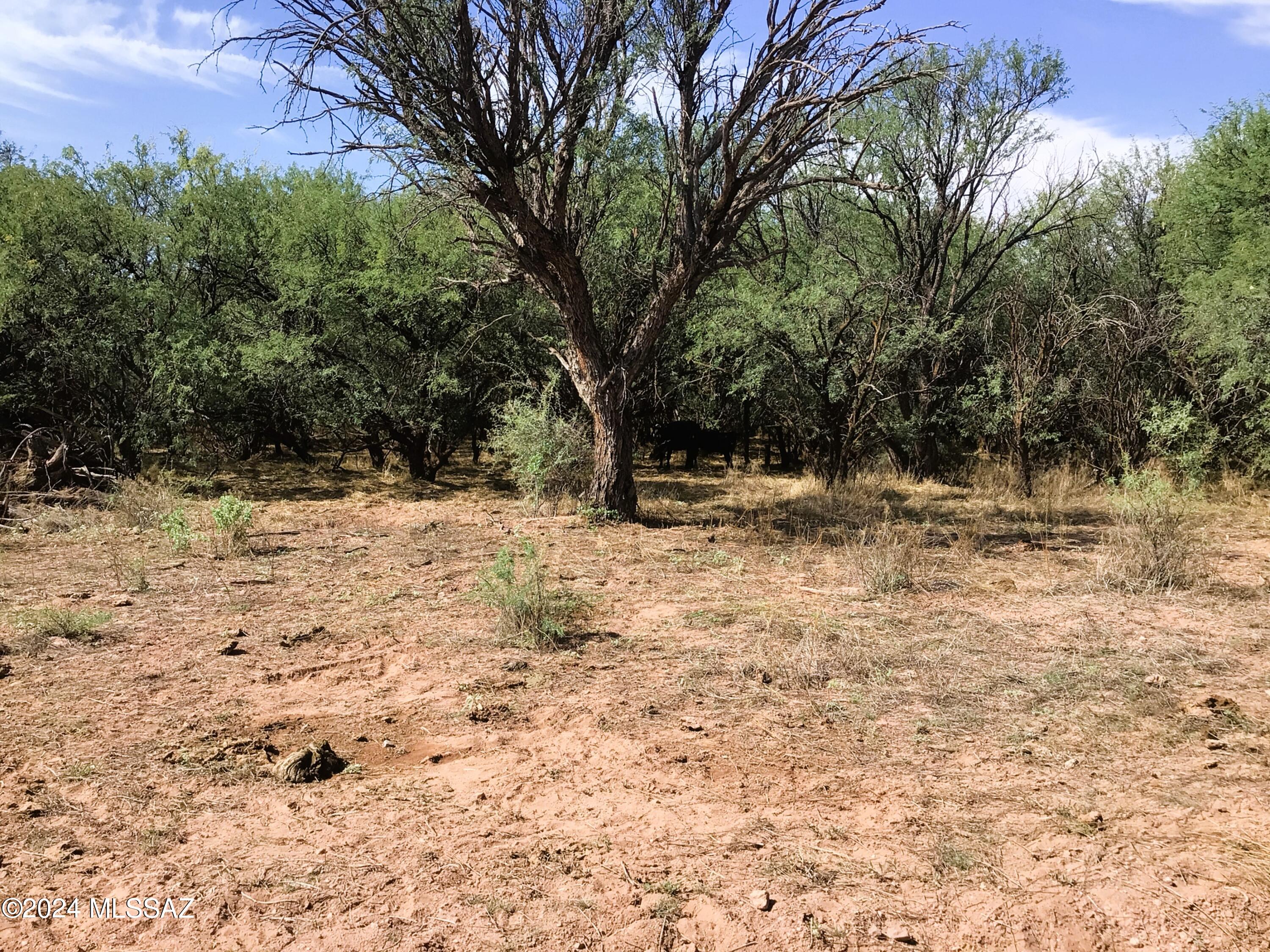 36.01-ac West Pronghorn Rdg Road, Unit 205 Willcox, AZ 85643 - Photo 21 of 37