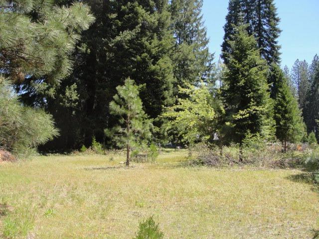 427 Red Blanket Road Prospect, OR 97536 - Photo 21 of 23 Additional Photo
