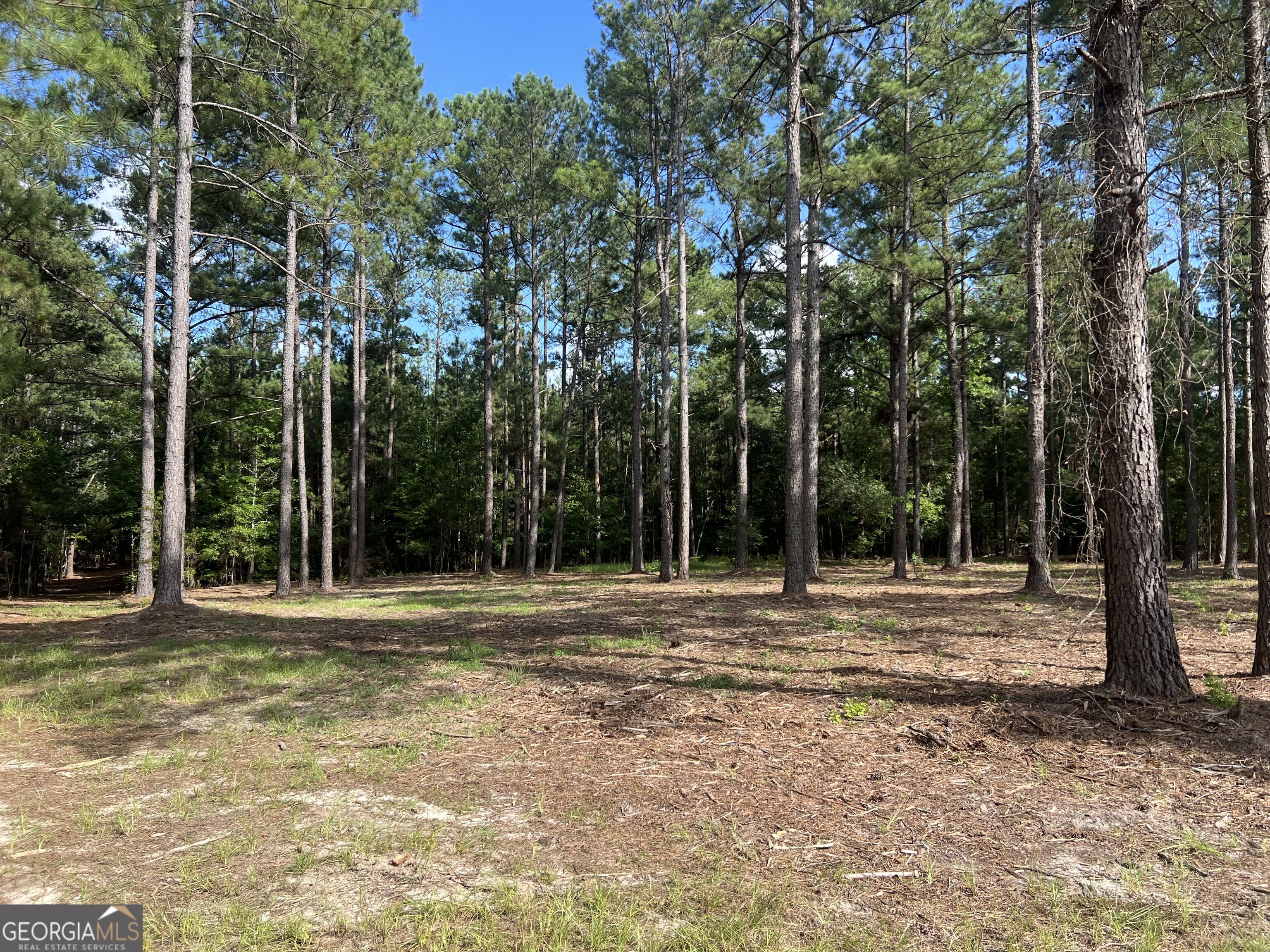 1 Frazier Road Sparta, GA 31087 - Photo 24 of 33 Gallery Image 24