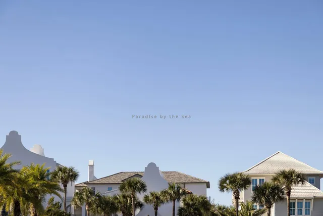 a close up of a plant in a garden