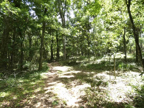 $253,080 | Tbd Gamble Road, Monticello, FL 32344