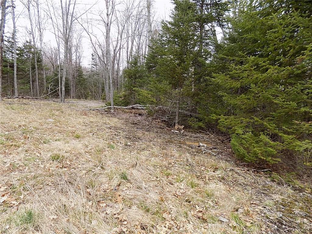 2 Gouldsboro Point Road Gouldsboro, ME 04607 - Photo 20 of 26 Looking back at part of the clearing...