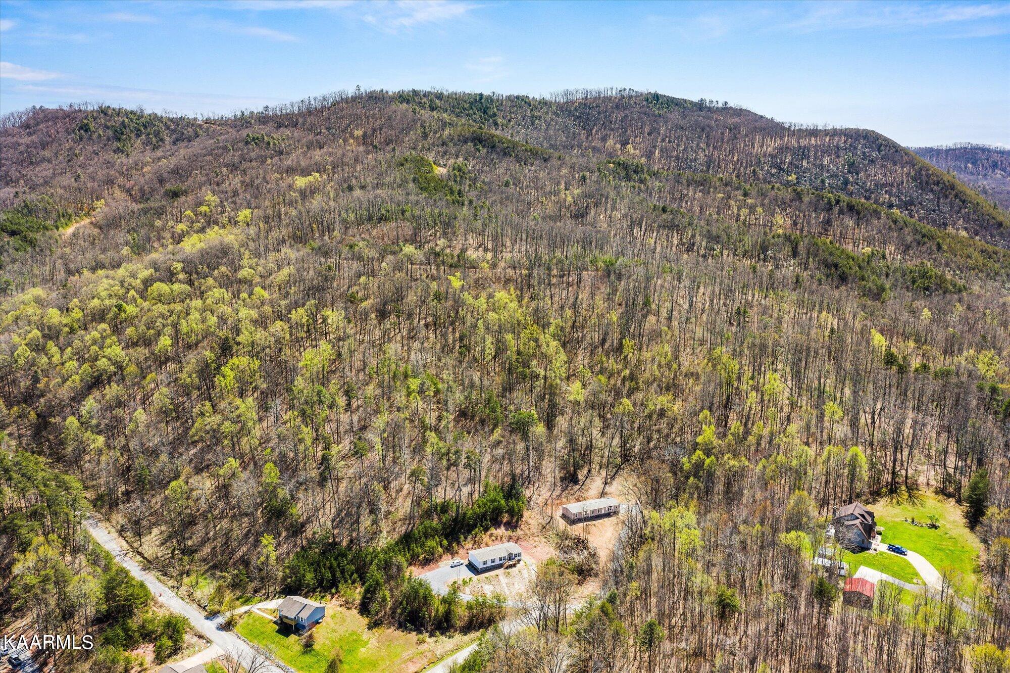 1358 Bluets Road Newport, TN 37821 - Photo 24 of 29 24-1358-Bluets-Rd-Newport-TN-24