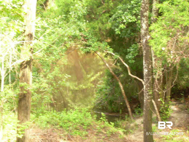 0 South East River Road Silverhill, AL 36576 - Photo 4 of 6