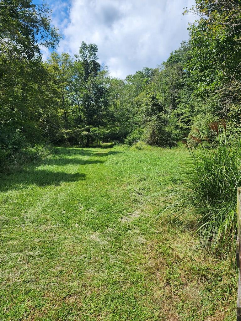 281 Arrowhead Road Fancy Gap, VA 24328 - Photo 15 of 44 Gallery Image 15
