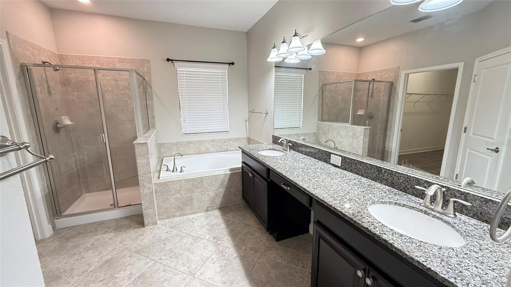 11017 Purple Martin Boulevard Riverview, FL 33579 - Photo 19 of 46 a bathroom with a granite countertop sink a mirror a shower and a bathtub