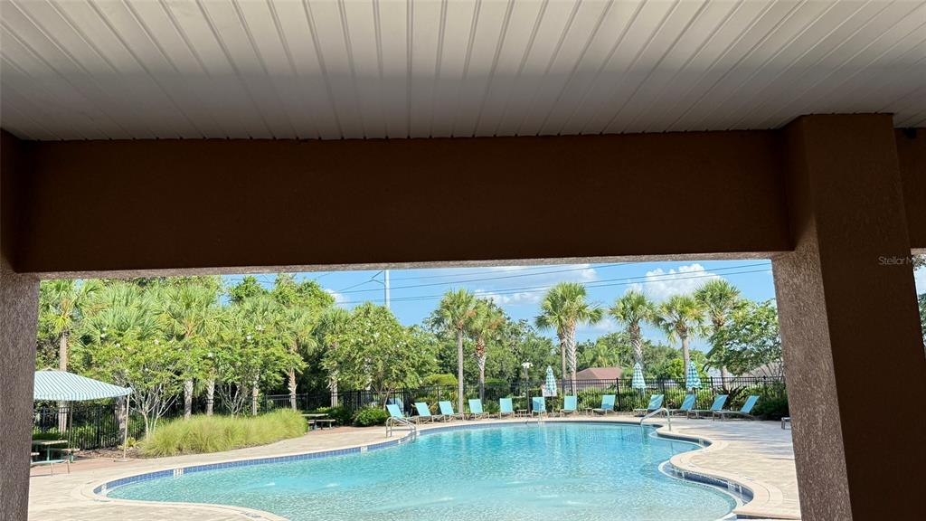 11017 Purple Martin Boulevard Riverview, FL 33579 - Photo 46 of 46 a view of a swimming pool and outdoor space