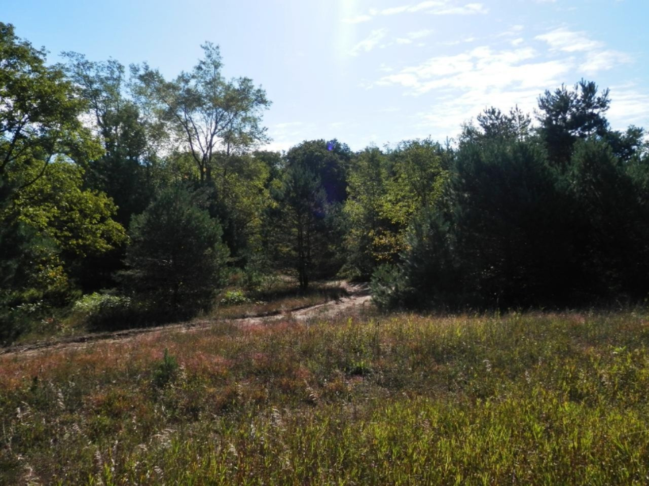 Quarterline Road Free Soil, MI 49411 - Photo 1 of 20 30 acres of mixed hardwood and pine