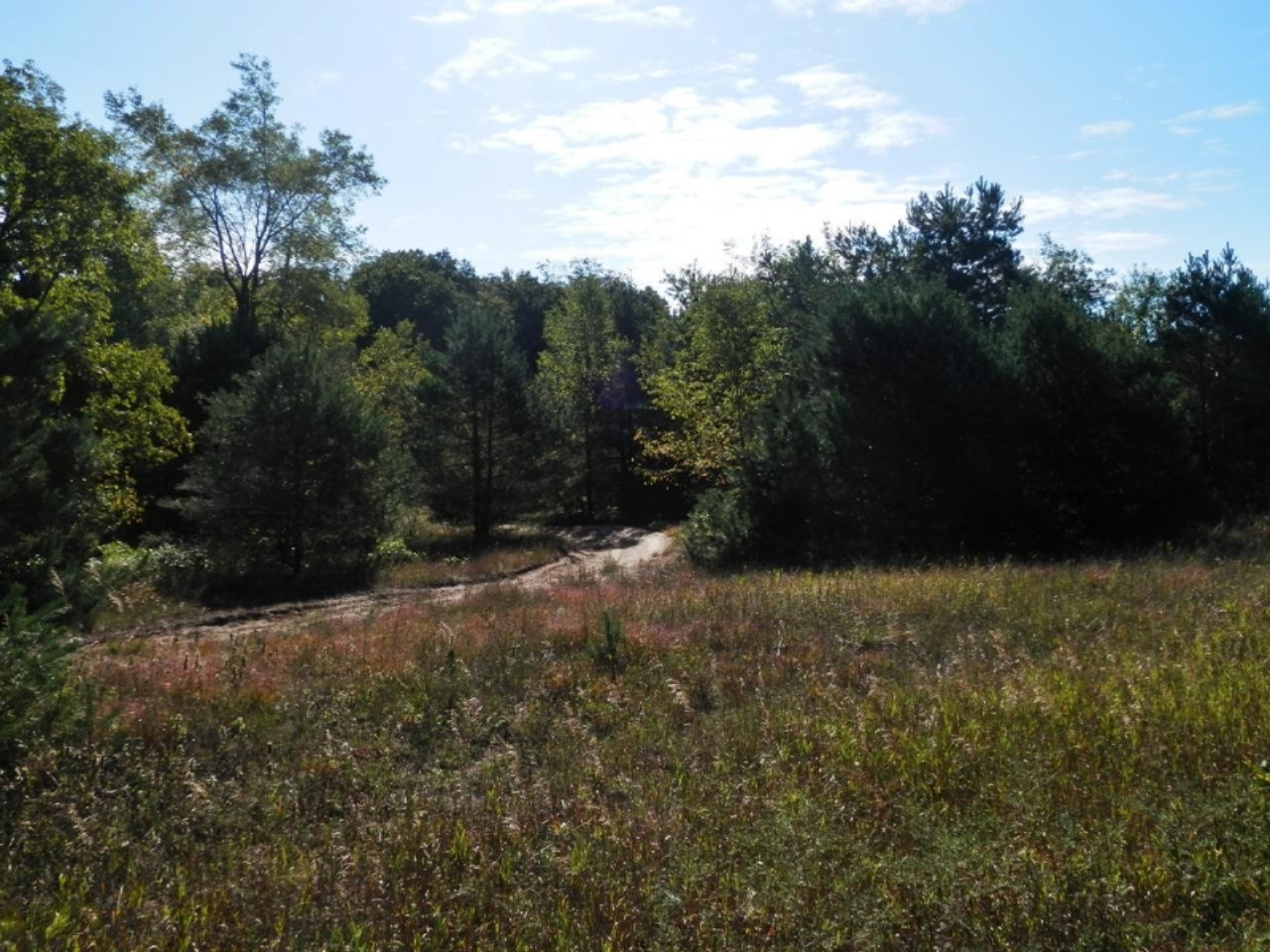 Quarterline Road Free Soil, MI 49411 - Photo 5 of 20 Additional Photo