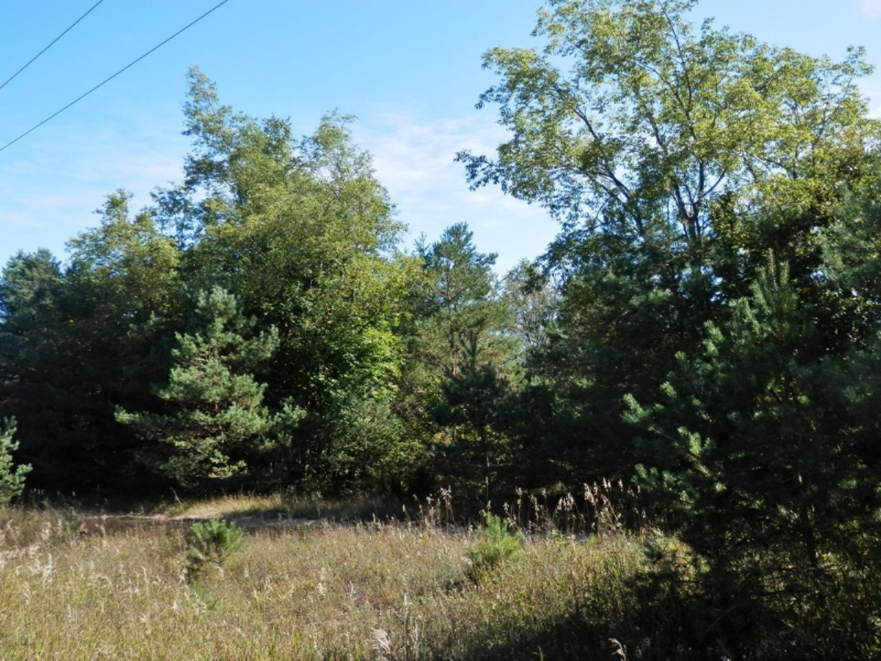 Quarterline Road Free Soil, MI 49411 - Photo 6 of 20 Additional Photo