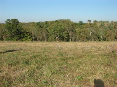 140 Ford Road Richmond, KY 40475 - Photo 12 of 39 Photo 12