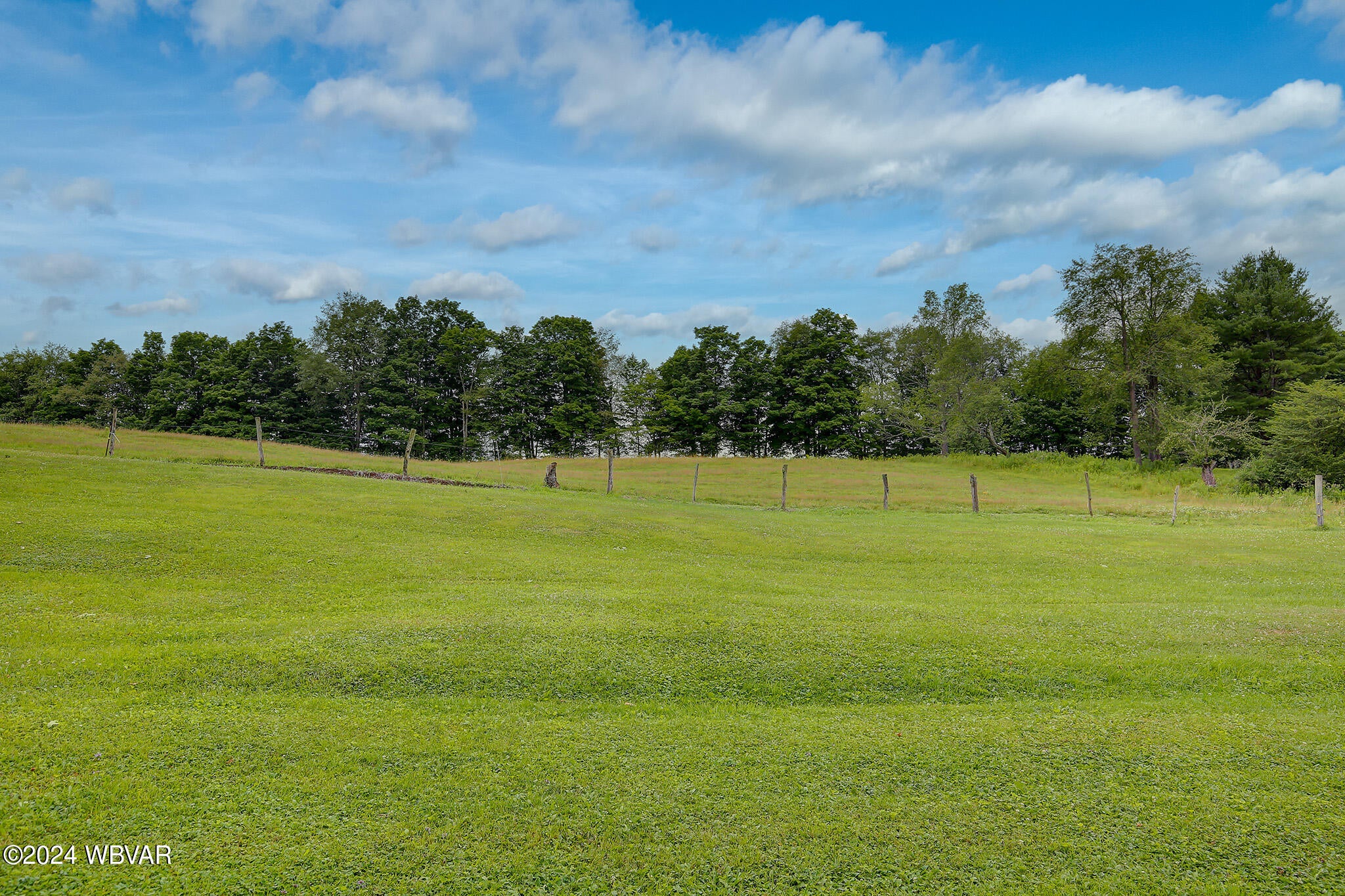 459 Bloss Mountain Road Liberty, PA 16930 - Photo 14 of 44 Pastoral View