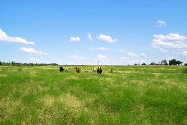 a view of yard with grass & street
