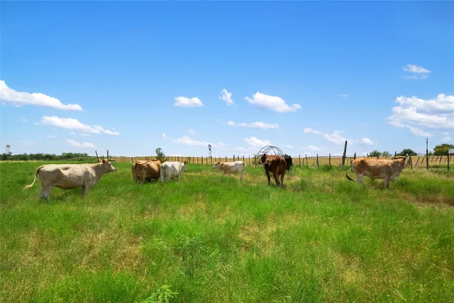 a view of a lush green space