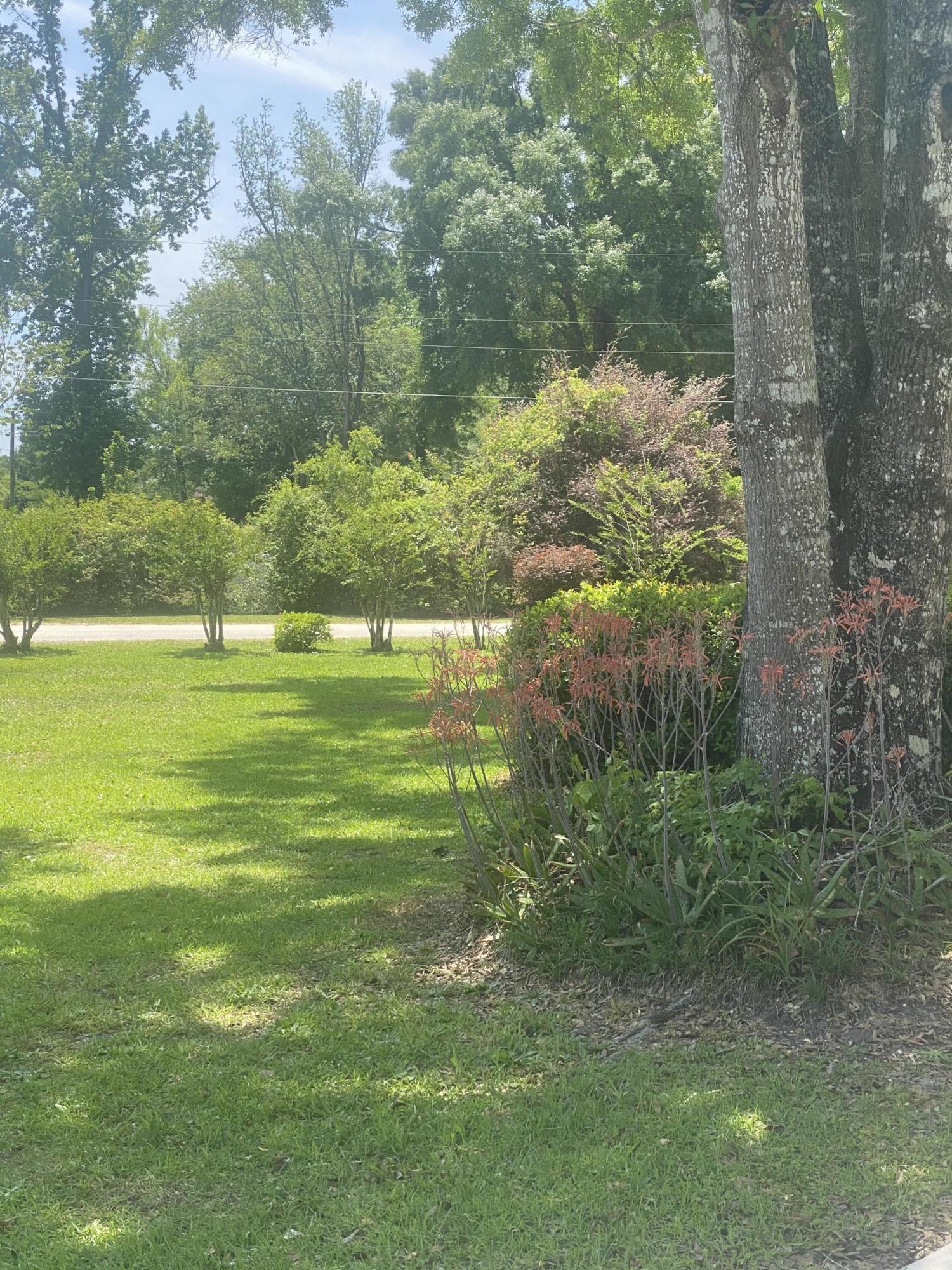5983 Acre Road Macclenny, FL 32063 - Photo 44 of 46 Lovely Lawns