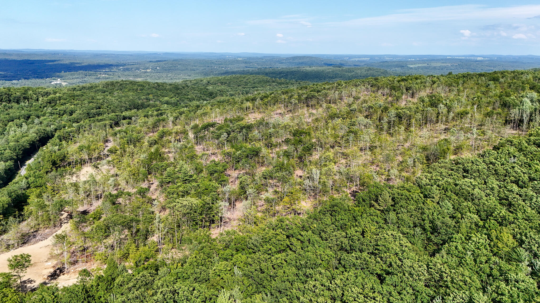 40.9 Streaked Mountain Road Hartford, ME 04220 - Photo 19 of 25 dji_fly_20240718_163258_0051_17213514094