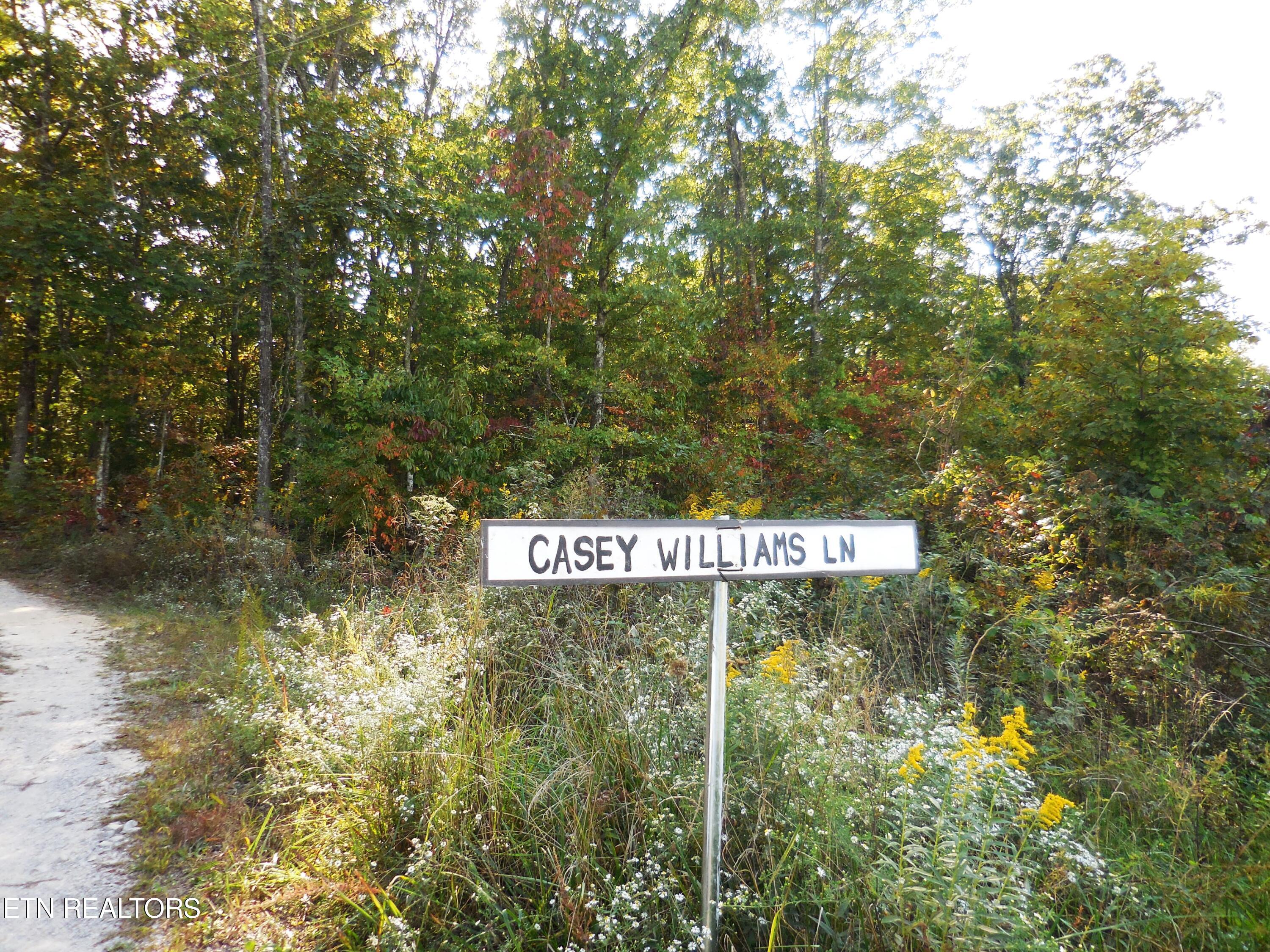 Lot 29 Grapevine Road Crossville, TN 38572 - Photo 16 of 16 DSCN2928