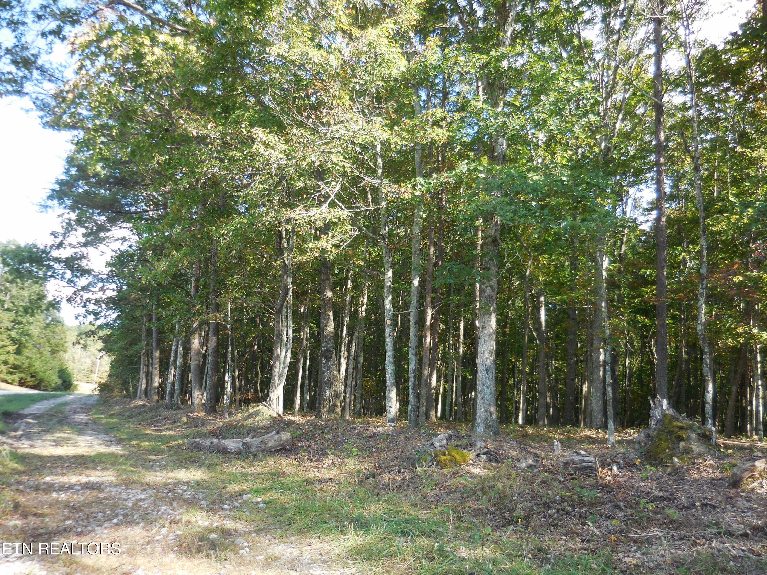 DSCN2897