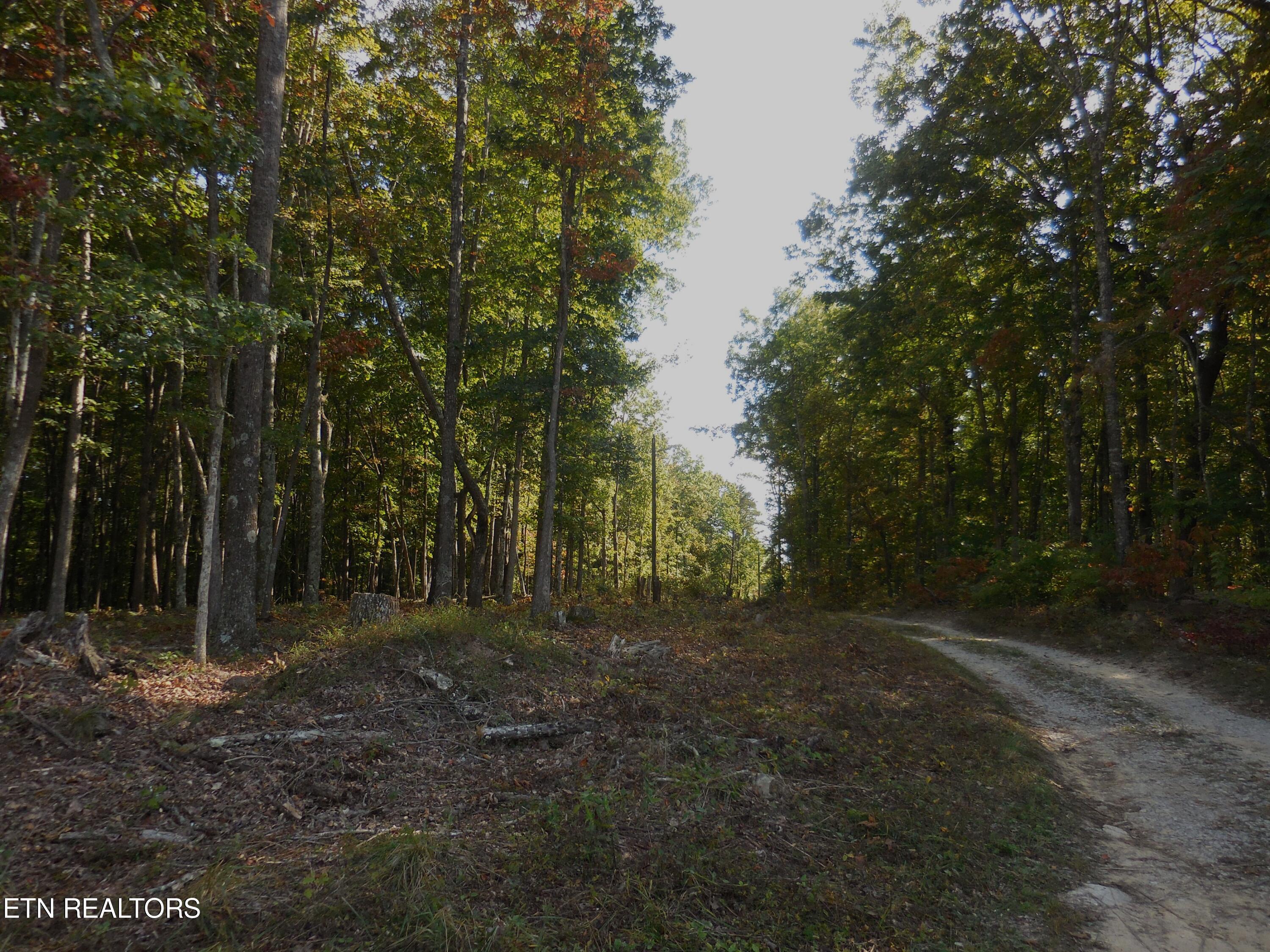 Lot 29 Grapevine Road Crossville, TN 38572 - Photo 8 of 16 DSCN2899