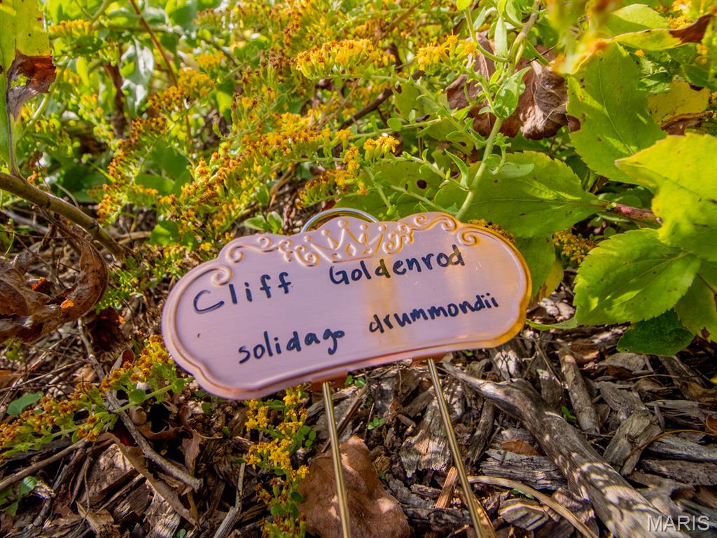 215 Bruce Avenue Ferguson, MO 63135 - Photo 31 of 33