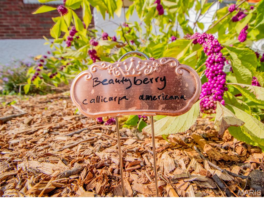 215 Bruce Avenue Ferguson, MO 63135 - Photo 32 of 33