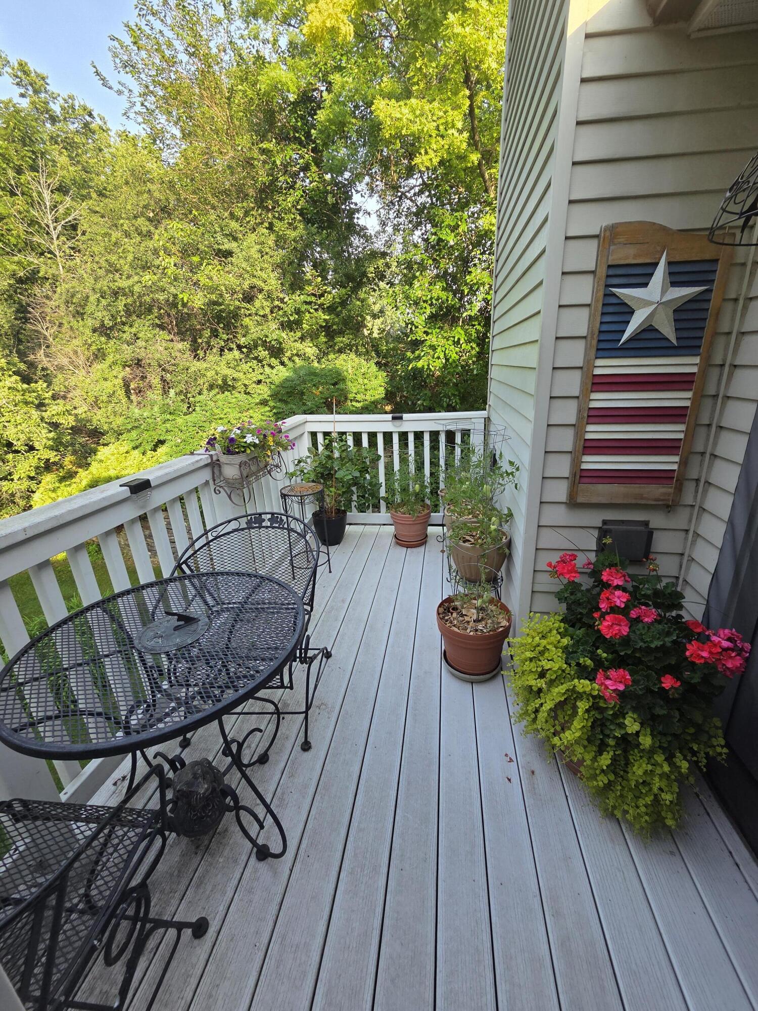 323 Riverview Drive, Unit 4 Delafield, WI 53018 - Photo 29 of 36 Summer Balcony