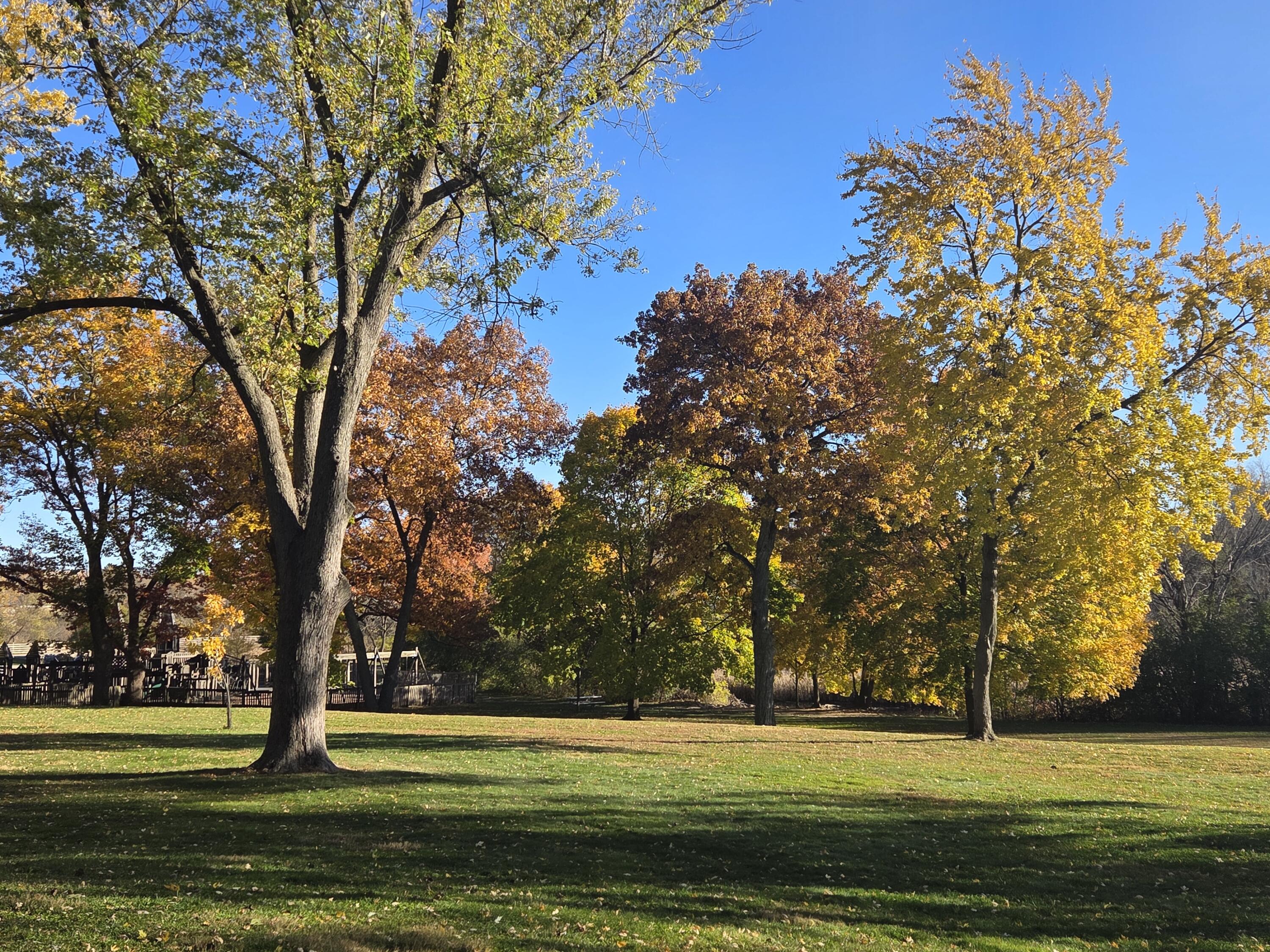 323 Riverview Drive, Unit 4 Delafield, WI 53018 - Photo 35 of 36 Beautiful Cushing park