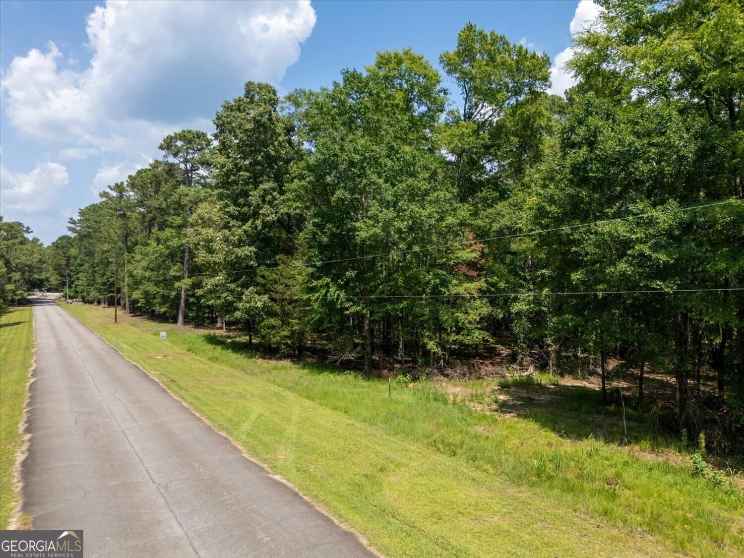 0 Winding Ridge Drive Tignall, GA 30668 - Photo 9 of 19 Gallery Image 9