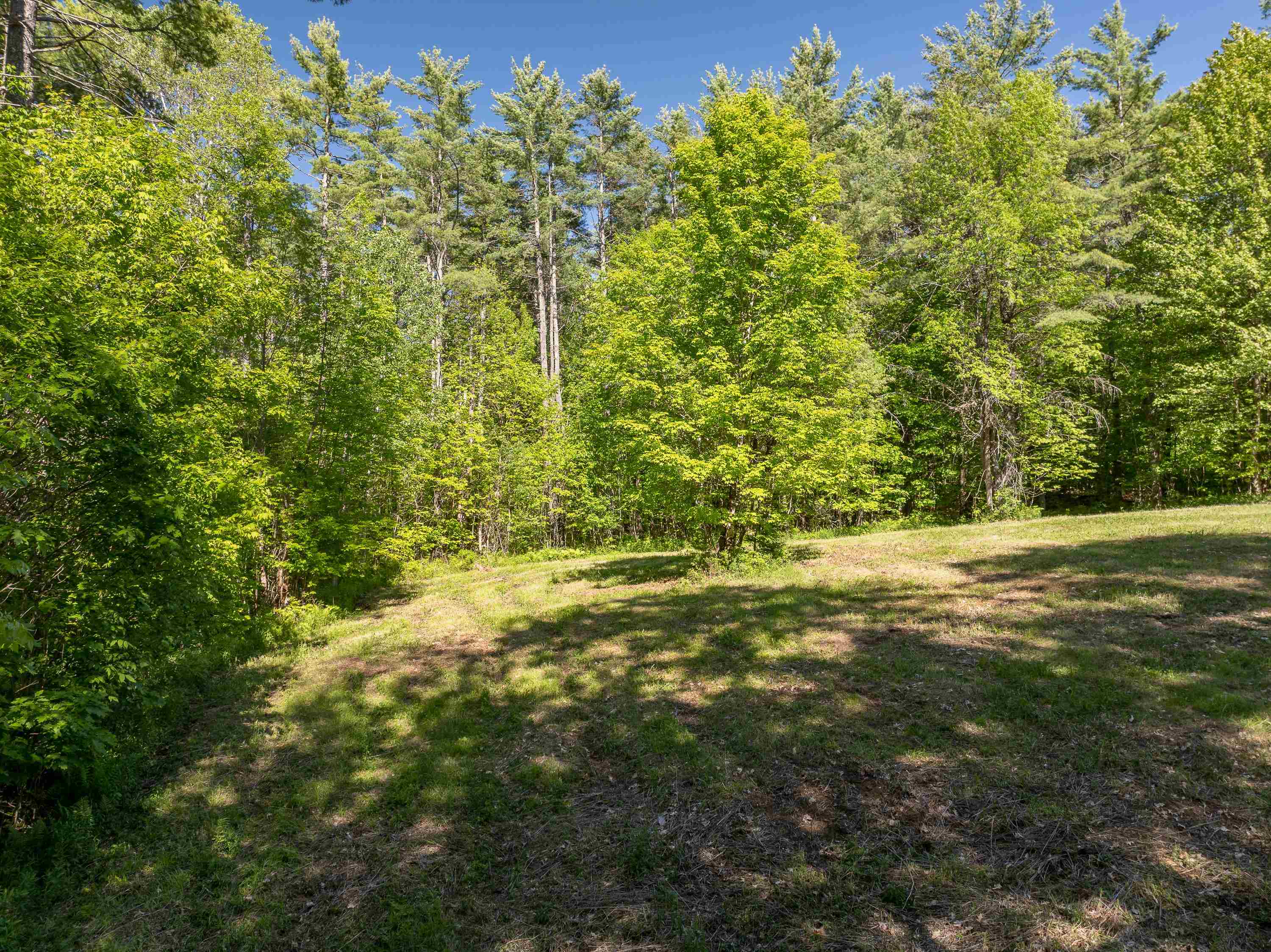 Lot 22 Rabbit Path Road Landaff, NH 03585 - Photo 15 of 19