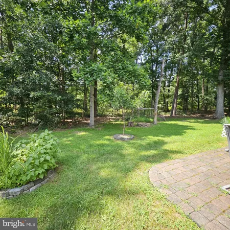 a view of a park with large trees