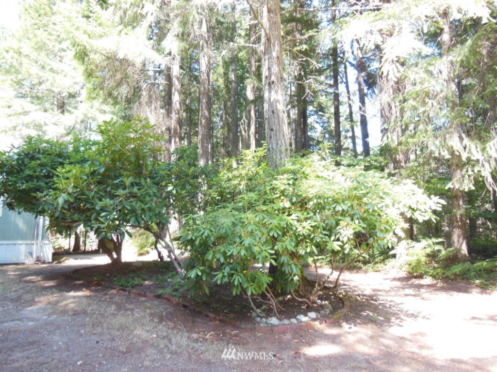 5580 Southeast Nelson Road Olalla, WA 98359 - Photo 16 of 18 Gallery Image 16