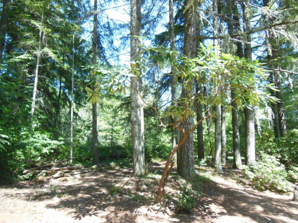 5580 Southeast Nelson Road Olalla, WA 98359 - Photo 17 of 18 Gallery Image 17