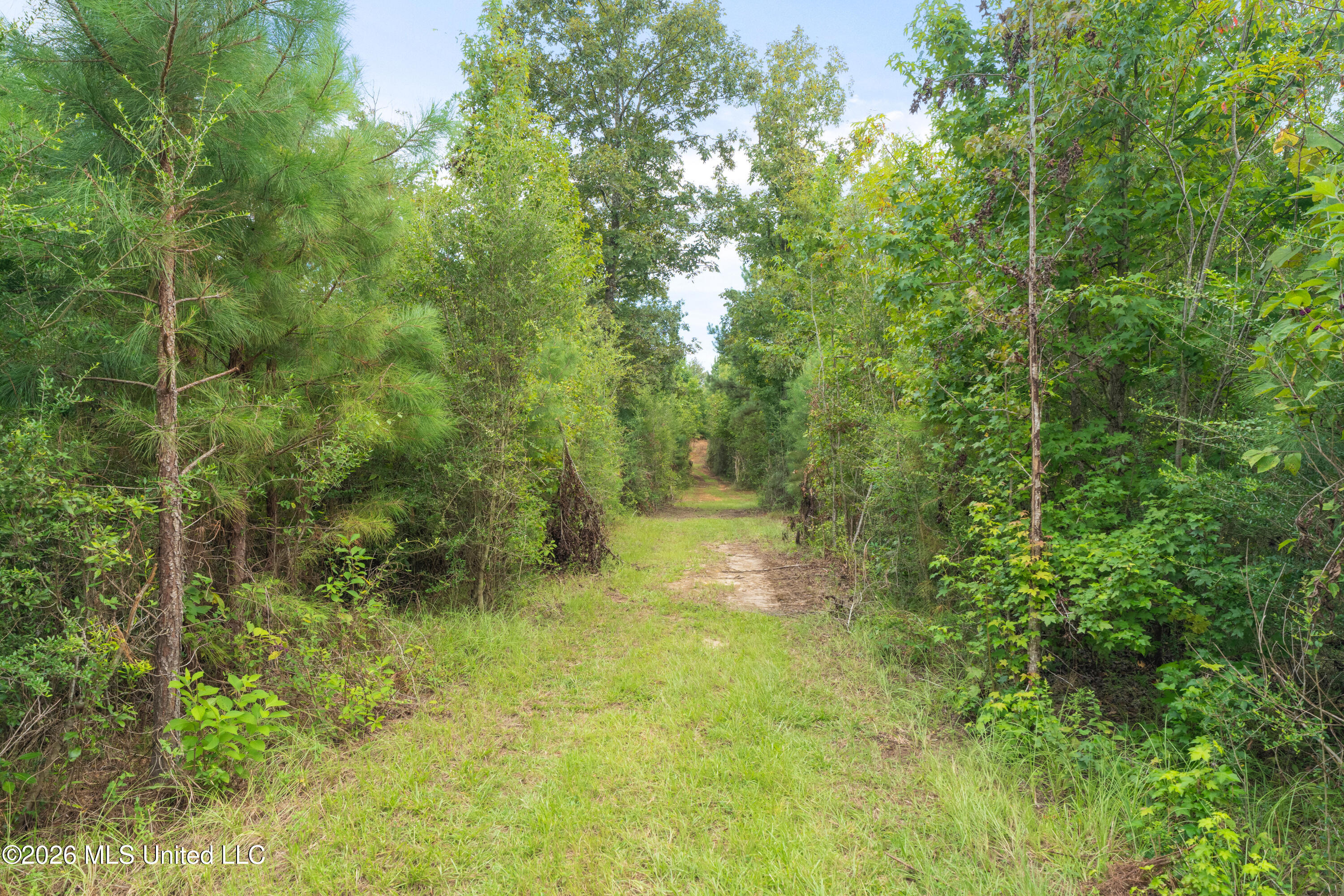 2705 Pilgrims Rest Road Magnolia, MS 39652 - Photo 33 of 68 2629_Pilgrims_Rest_Rd_Lot_2-14