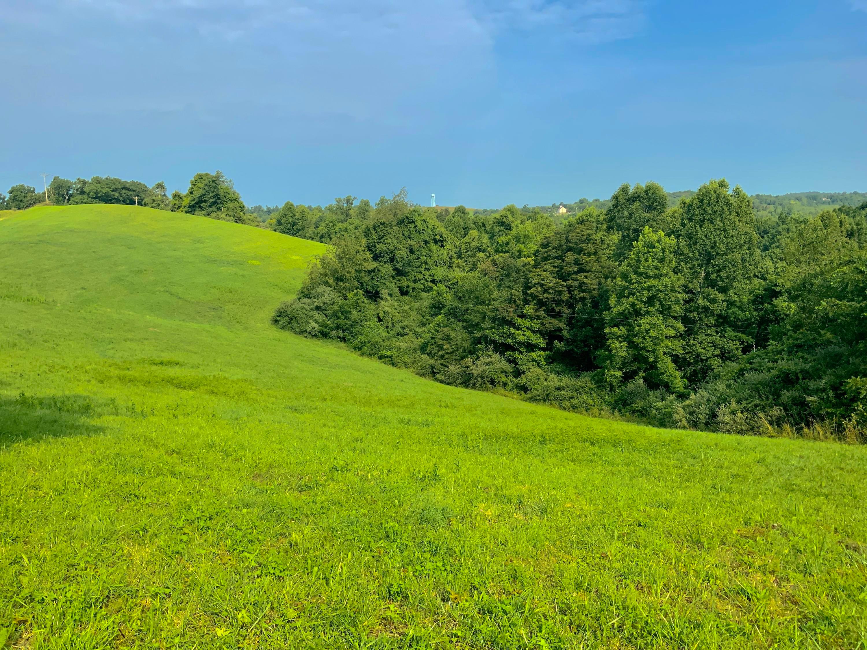 0 Darrah Ridge Road Dexter City, OH 45727 - Photo 8 of 24