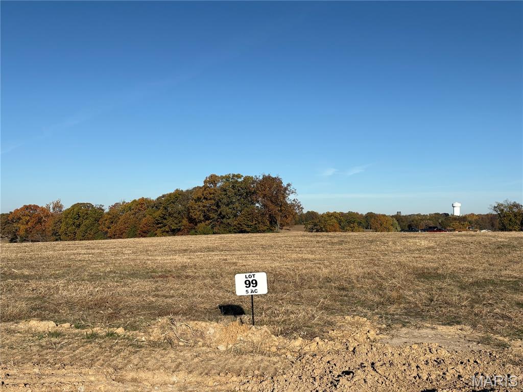 22 Sunset Court St. Louis, MO 63121 - Photo 4 of 5