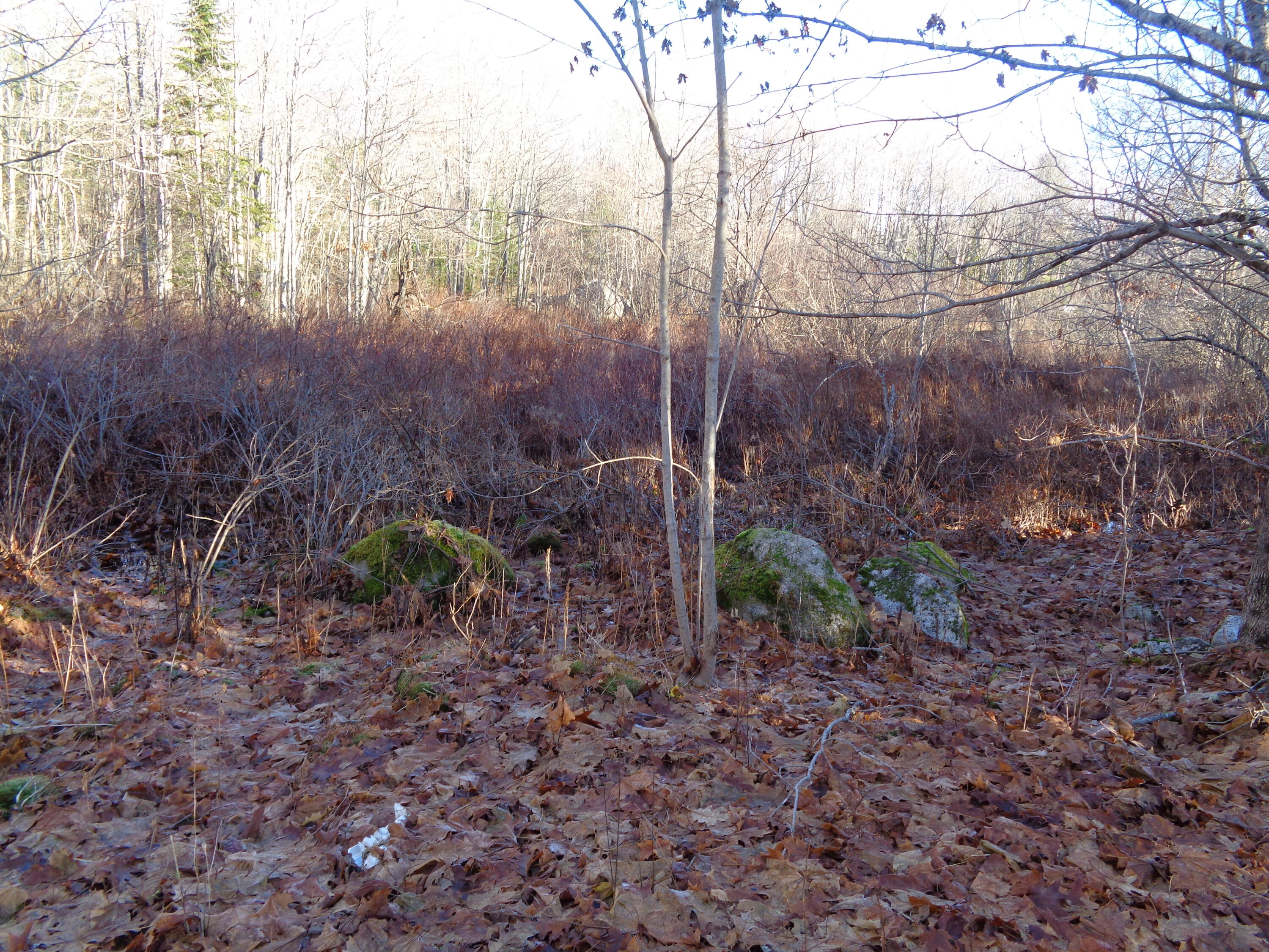 68 Quarry Road Sullivan, ME 04664 - Photo 12 of 16 Lot