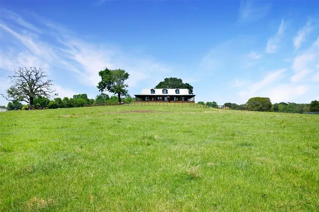 a big yard with lots of green space and plants
