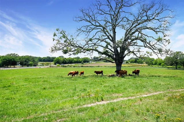 a view of a golf course with a lake