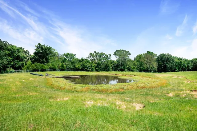 a view of a green field with plants