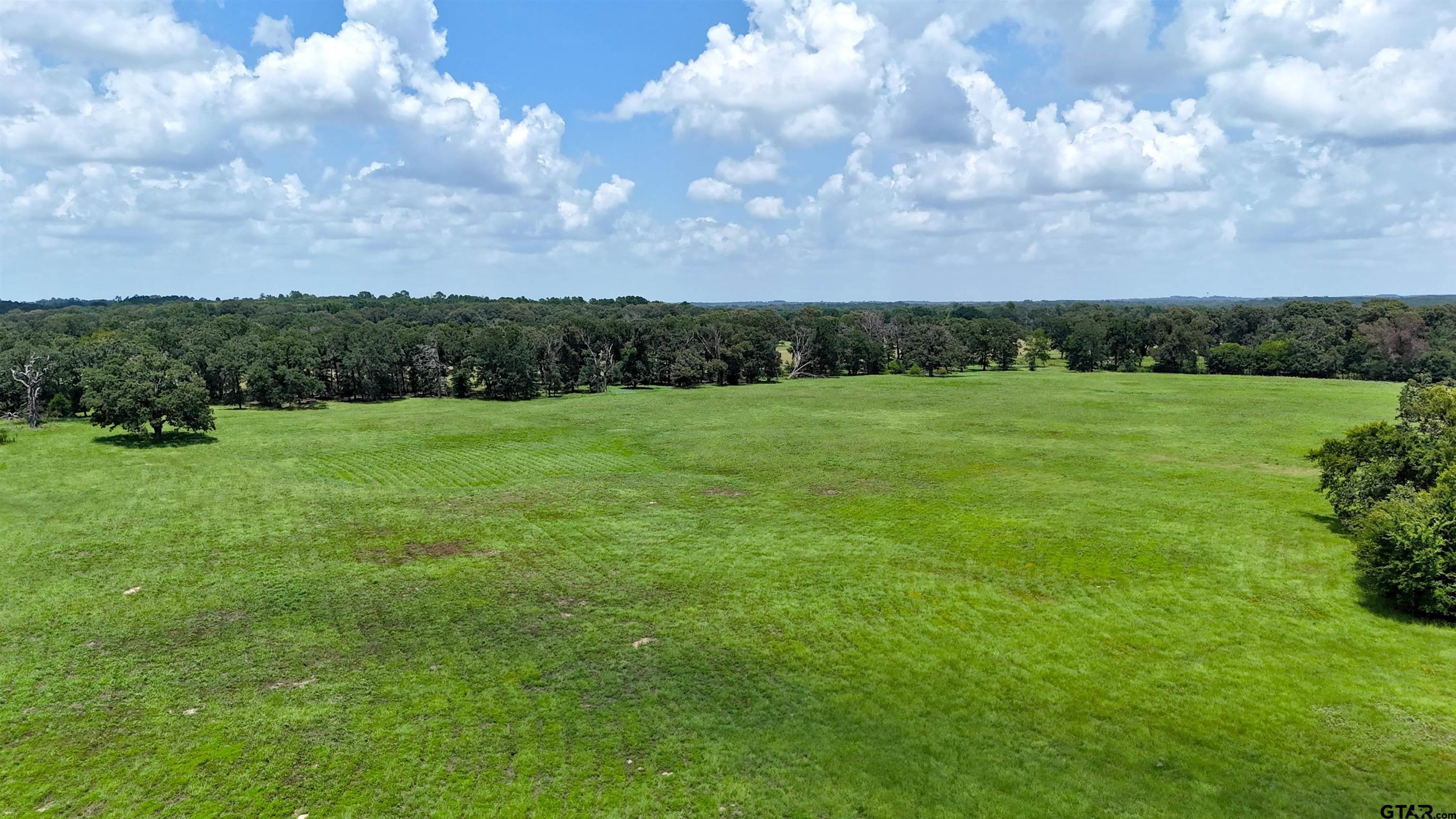 a view of grassy field with trees