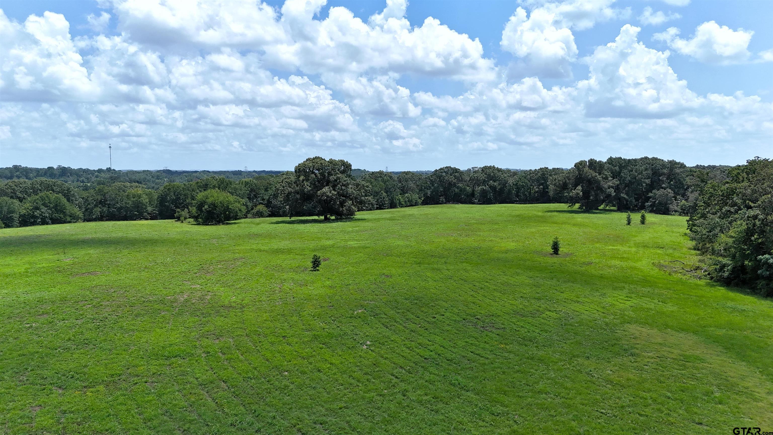 4613 Athens Tx 75751 Athens, TX 75751 - Photo 11 of 14 a view of a grassy field