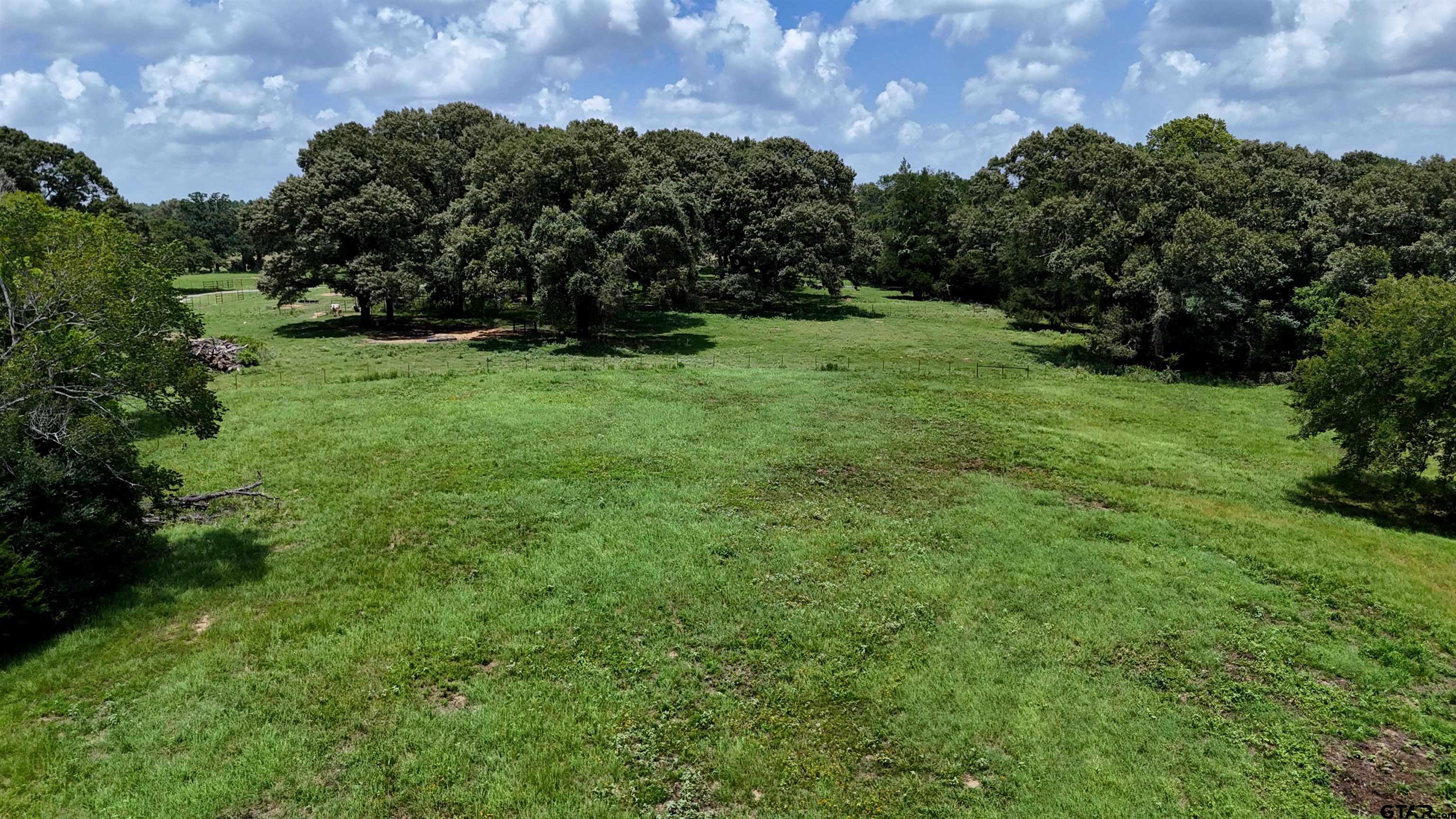4613 Athens Tx 75751 Athens, TX 75751 - Photo 12 of 14 a view of green field with trees in the background