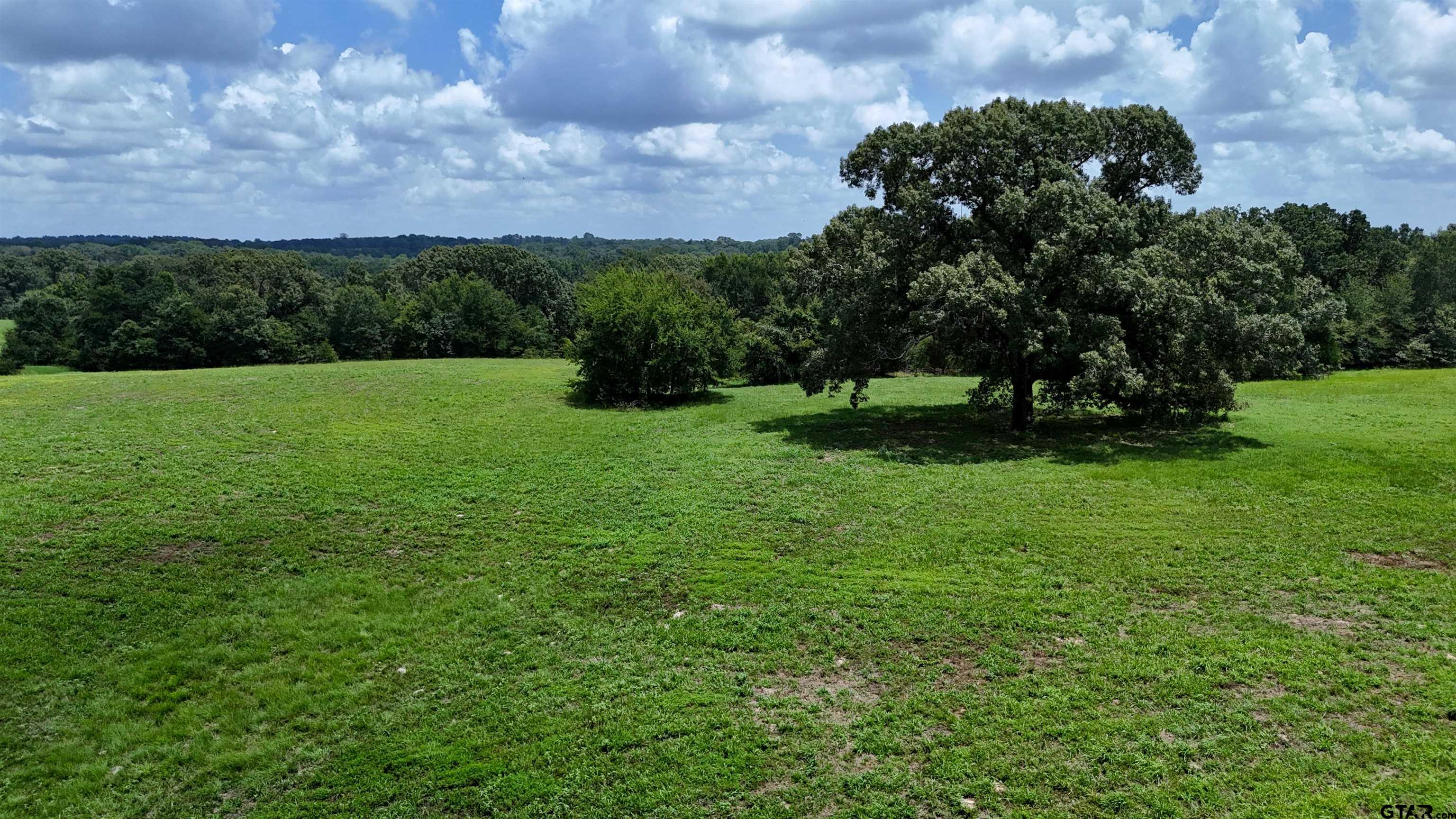 4613 Athens Tx 75751 Athens, TX 75751 - Photo 13 of 14 a view of a field of grass and trees