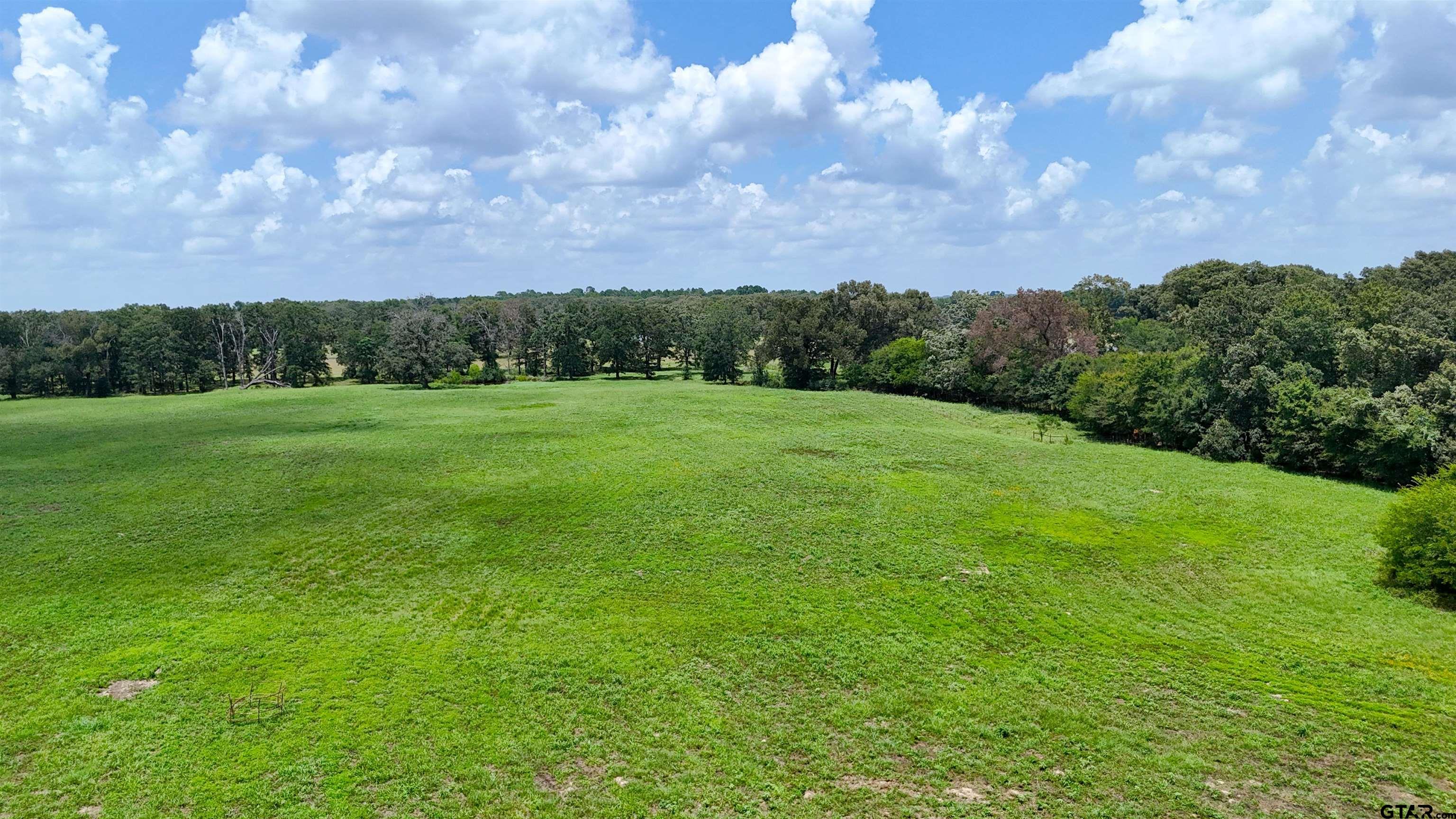4613 Athens Tx 75751 Athens, TX 75751 - Photo 14 of 14 a view of grassy field with trees