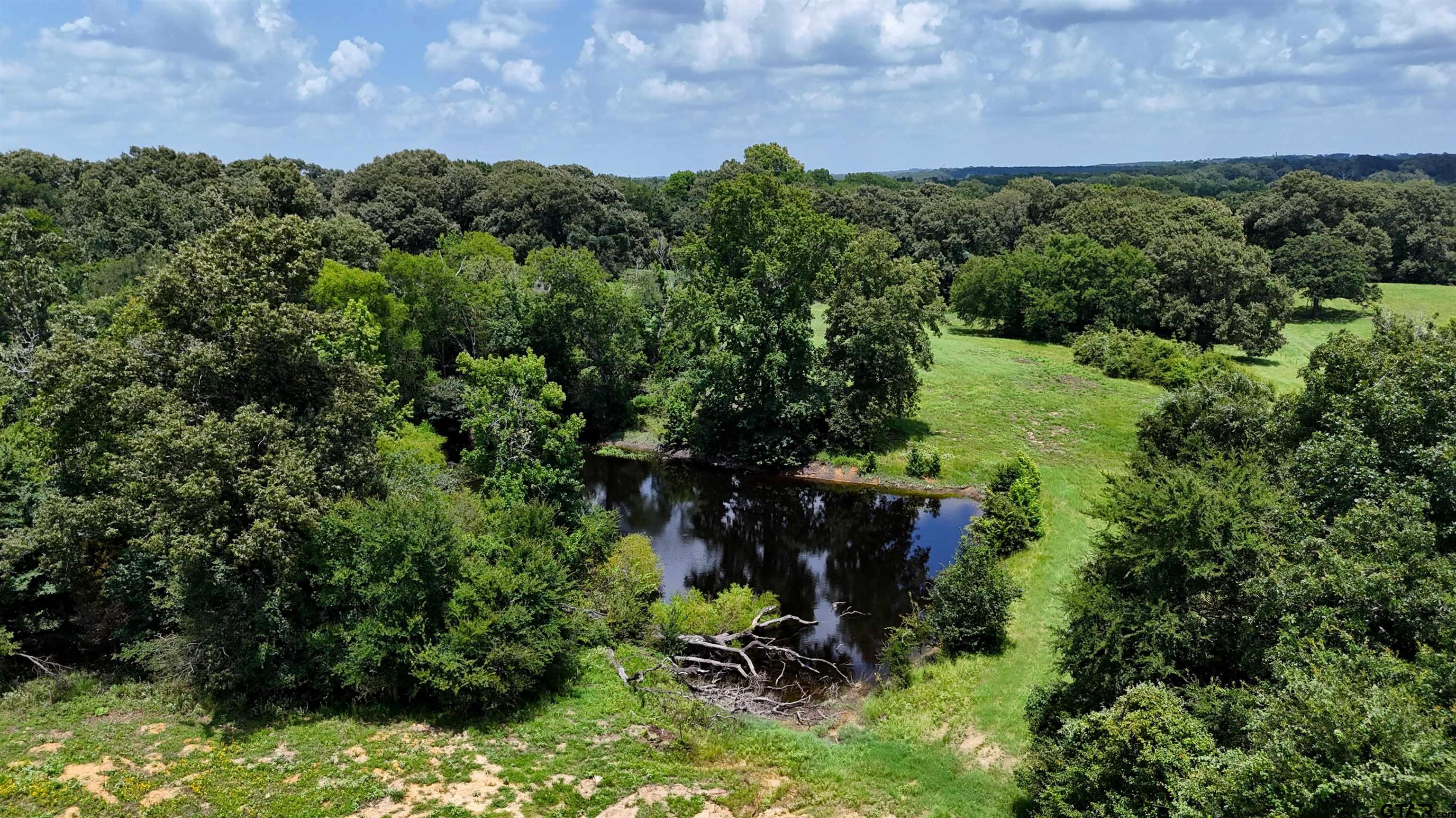 4613 Athens Tx 75751 Athens, TX 75751 - Photo 5 of 14 a view of a yard with plants and a bench