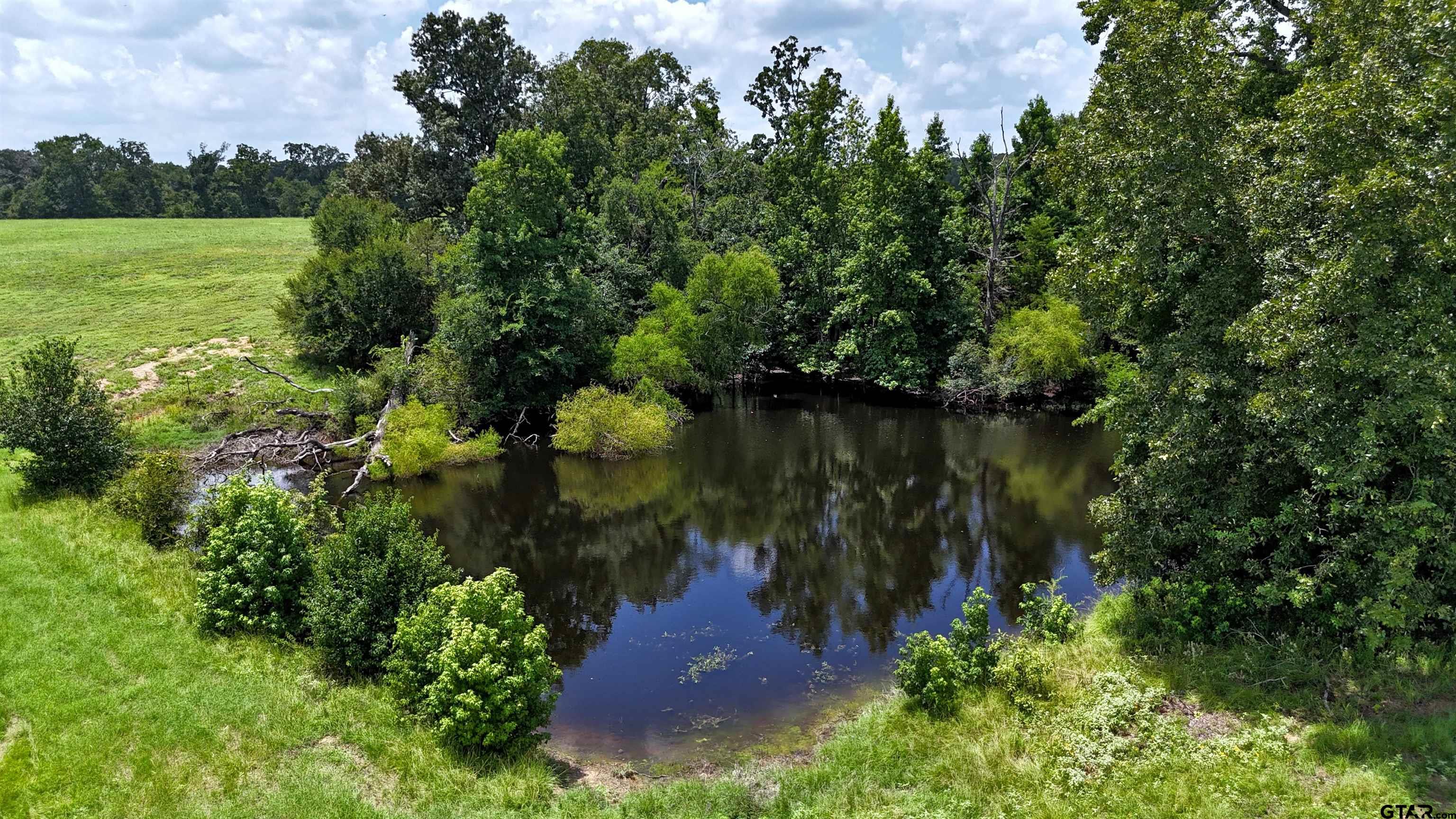 4613 Athens Tx 75751 Athens, TX 75751 - Photo 6 of 14 view of lake with green space