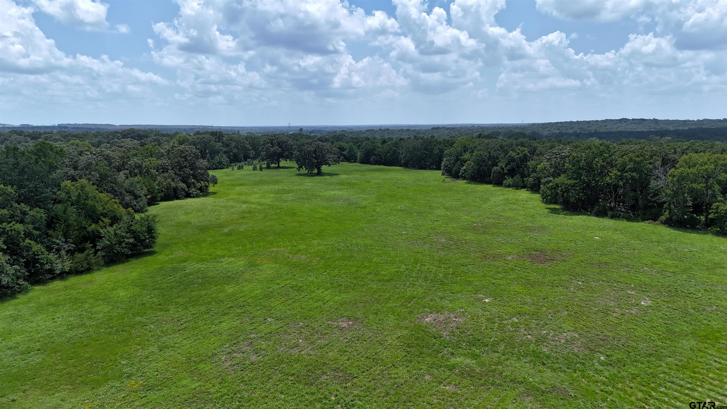 4613 Athens Tx 75751 Athens, TX 75751 - Photo 7 of 14 a view of a big yard with a house in background