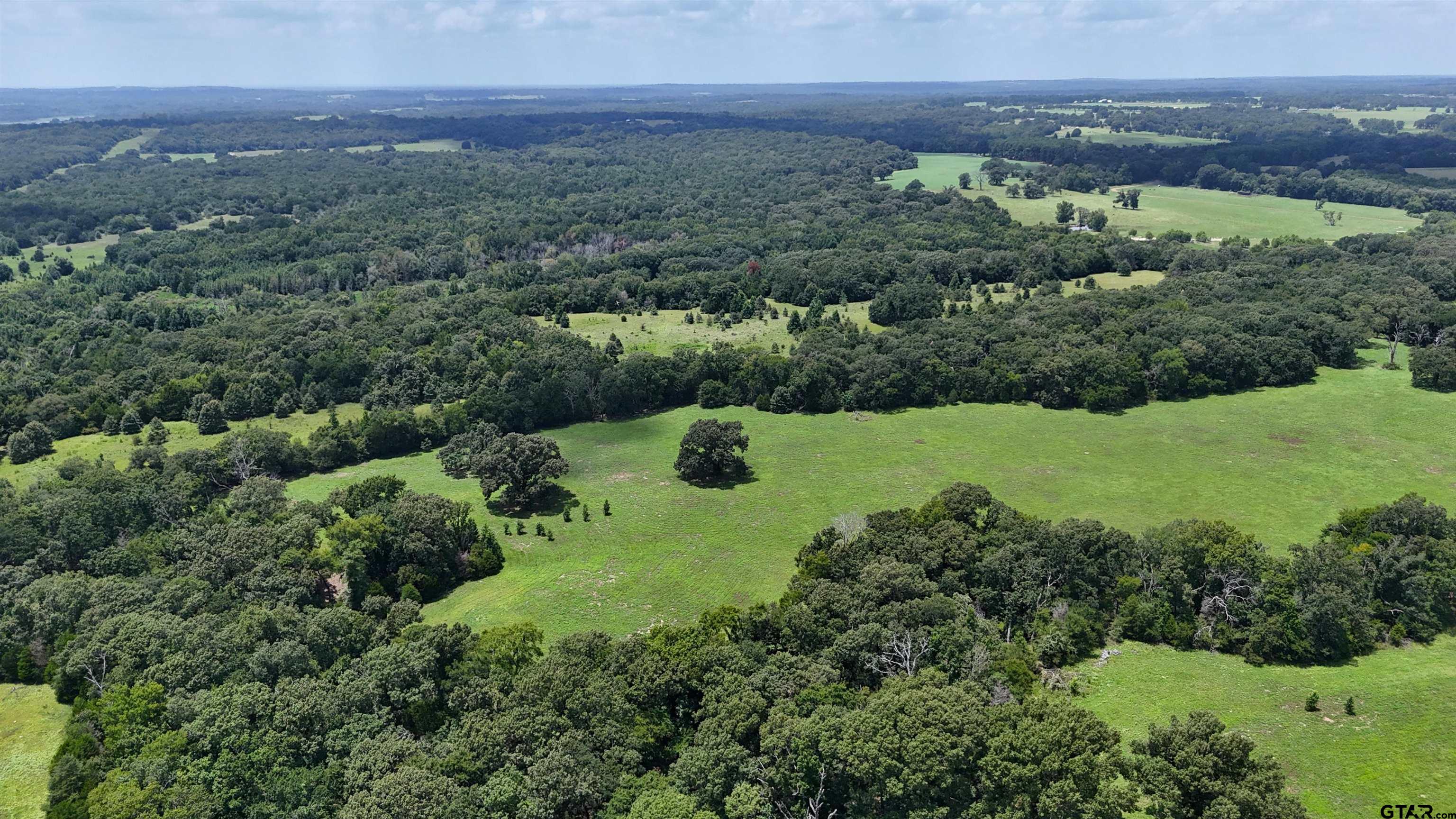 4613 Athens Tx 75751 Athens, TX 75751 - Photo 8 of 14 an aerial view of a house with a yard